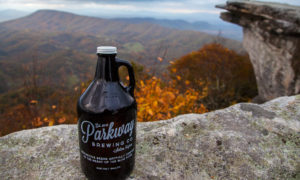 Introducing Parkway Brewing Company